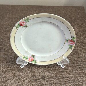 Vintage Hand-painted porcelain plate